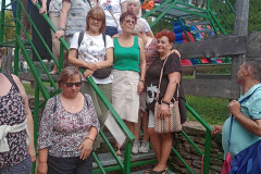 face_dts_fb